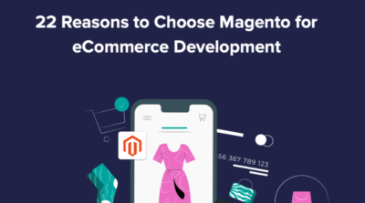 Professional Capabilities of Our Magento E-Commerce Developers