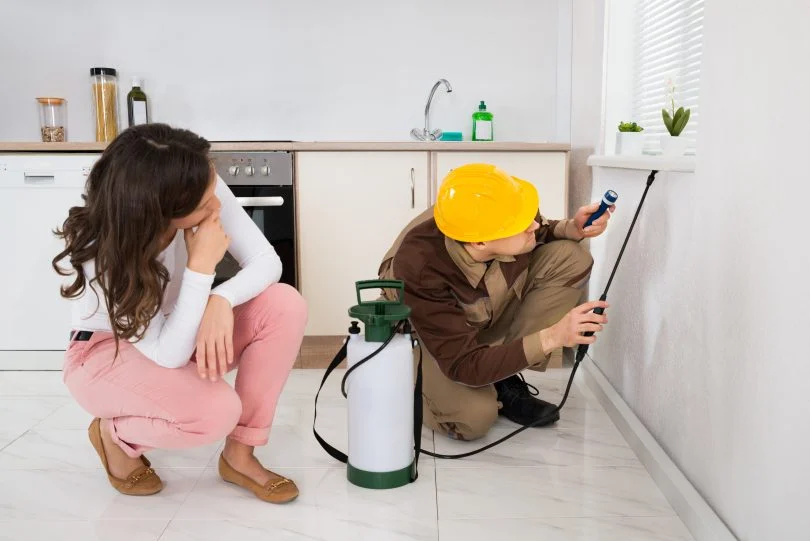 10 Questions You Should Always Ask Your Pest Control Specialist