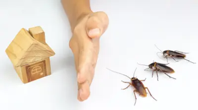 Cockroaches Out Of Your House