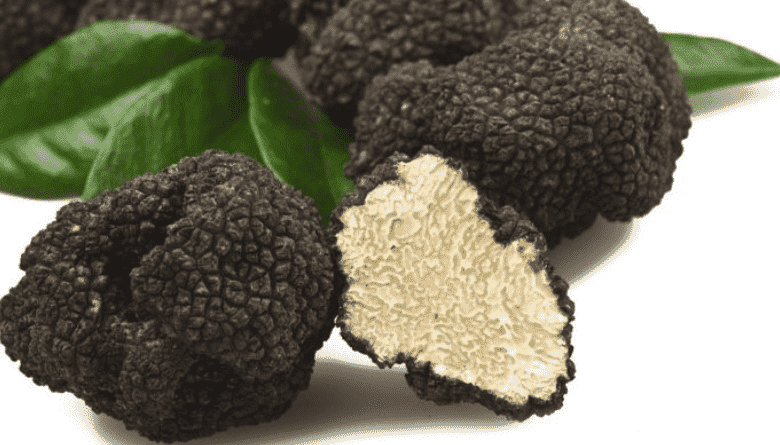 Variety Of Health Benefits Can Be Derive From Truffles