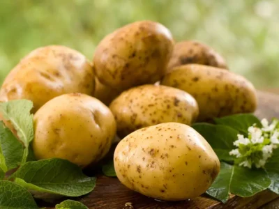 Benefits Of Potatoes For Health