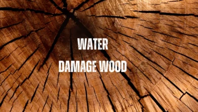 Water Damage on Wood