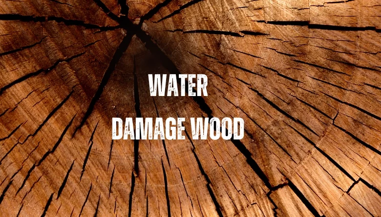 Water Damage on Wood